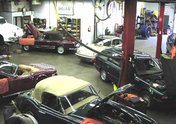 overshop